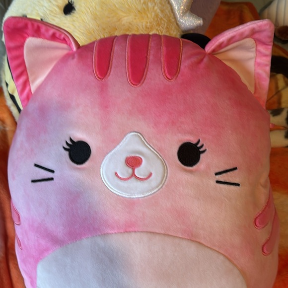 Claudella tabby cat squishmallow brand new - Picture 2 of 7
